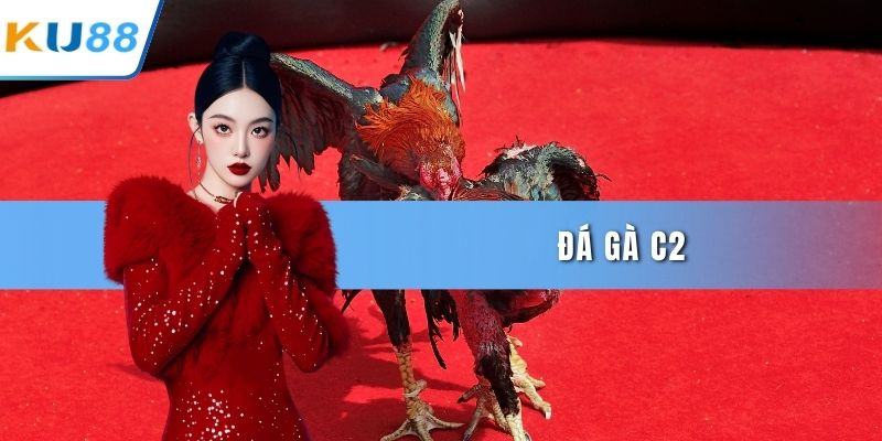 Đá gà C2
