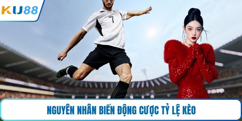 Nguyên nhân biến động cược tỷ lệ kèo