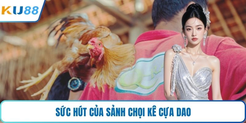Sức hút của sảnh chọi kê cựa dao